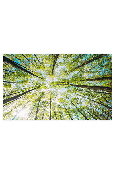 StoryGift Romania Tablou Canvas Privind In Sus Intr-o Padure Frumoasa De Pini...