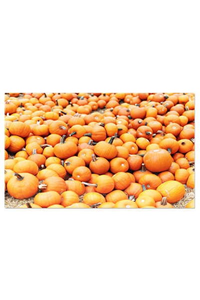 StoryGift Romania Tablou Canvas: Sezonul Dovlecilor - Toamna Pe Ferma Rurala