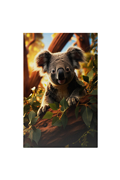 StoryGift Romania Tablou Canvas: Imaginea Unui Koala Intr-un Copac - Fotograf...