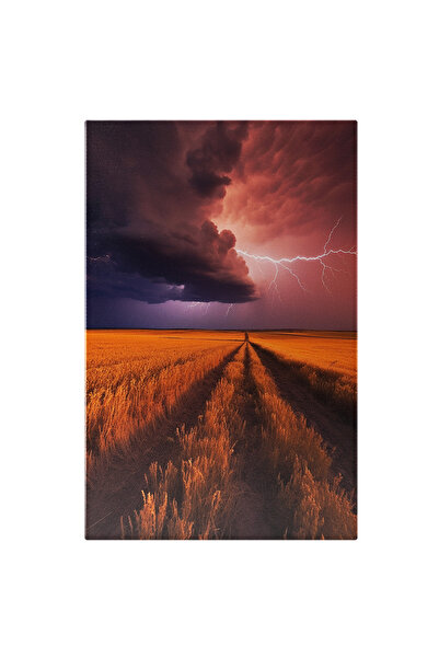 StoryGift Romania Tablou Canvas: Fotografie Care Surprinde O Furtuna In Depar...