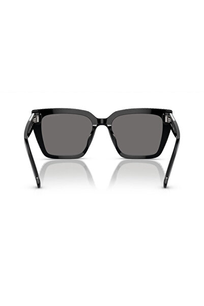 Swarovski Polarized Sunglasses Women Swarovski SK6013 101581 54, Plastic, Black, 54 mm