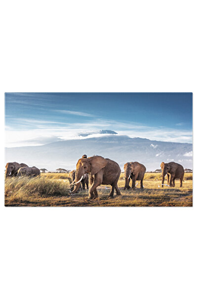StoryGift Romania Tablou Canvas Turma De Elefanti Africani La Apus Auriu, Ele...