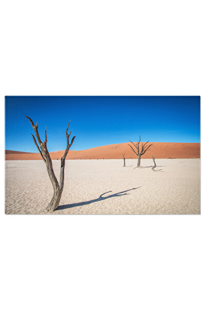 StoryGift Romania Tablou Canvas 40 X 25cm Cer Senin In Namib Deadvlei, Namibi...