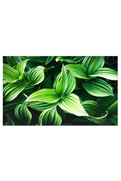 StoryGift Romania Tablou Canvas Cu Textura De Frunze - Verde, Natura, Textura