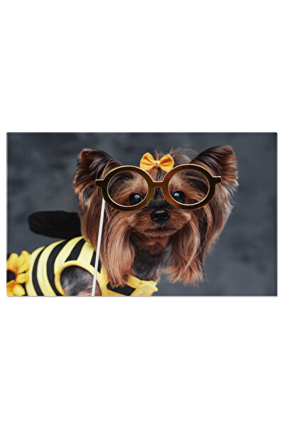 StoryGift Romania Tablou Canvas: Yorkshire Terrier Cu Stil - Eleganta Canina