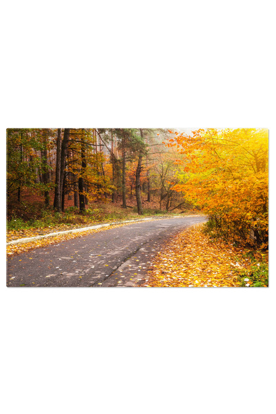 StoryGift Romania Tablou Canvas: Padure Si Ceturi - Natura, Ceturi, Soare