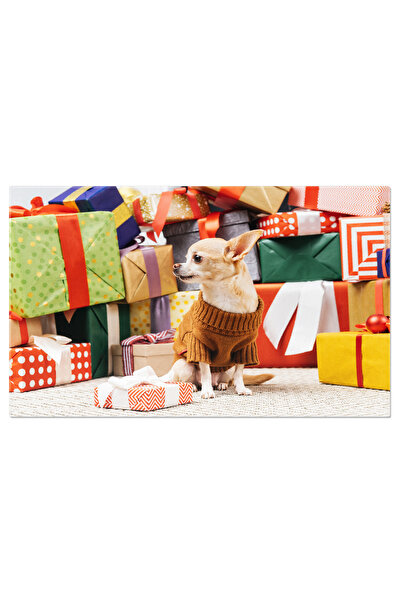 StoryGift Romania Tablou Canvas Chihuahua Dragut In Pulover Caine, Chihuahua,...