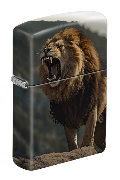 Zippo Çakmak Z-CI421644-49352