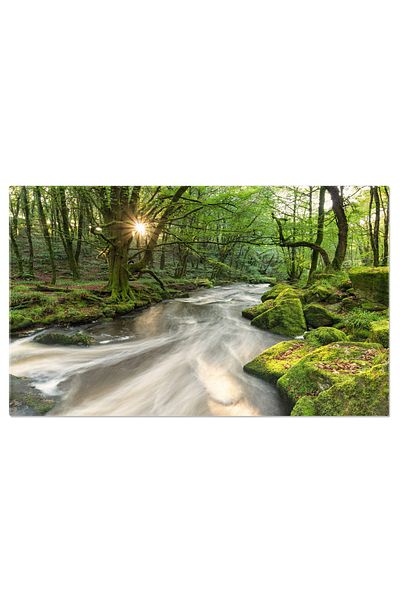StoryGift Romania Canvas Painting 140 x 90CM Magic Forest, Golitha Valley, Fowey River, Waterfall, Moss, ,STG