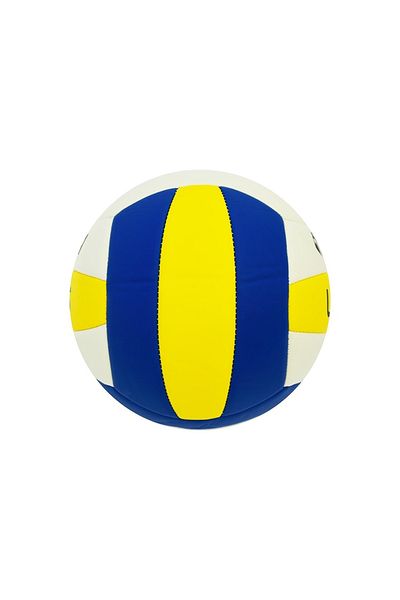 Delta Locus Stitched Volleyball Size 5