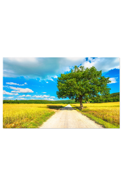 StoryGift Romania Tablou Canvas Peisaj Cu Camp De Grau Si Copac Pe Via Franci...