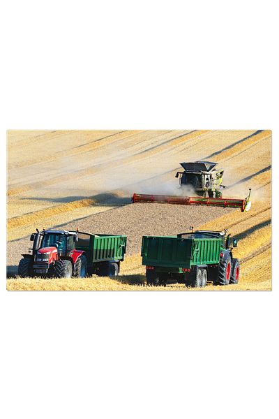 StoryGift Romania Tablou Canvas Combine Harvester In Agricultura Agricultura, Camp, Tractor, Masina, Rural 1413