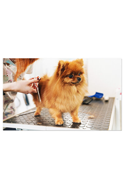 StoryGift Romania Tablou Canvas Imerious, Abstract, Artă, Design 2476