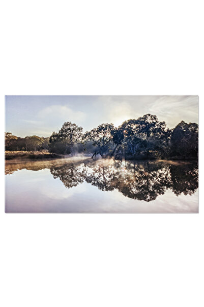 StoryGift Romania Tablou Canvas Dimineata Cetoasa In Melbourne, Australia Australian, Lac, Dimineata, Cetoasa, Pe