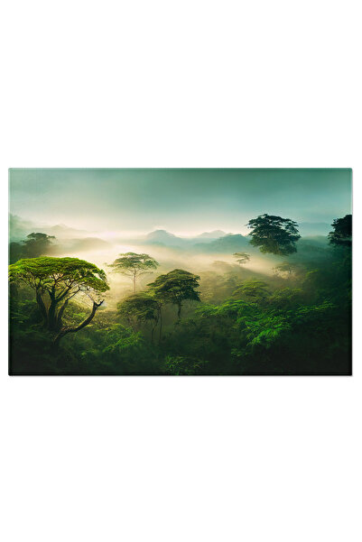 StoryGift Romania Tablou Canvas - Padure Tropicala, Priveliste Aeriana, Natur...