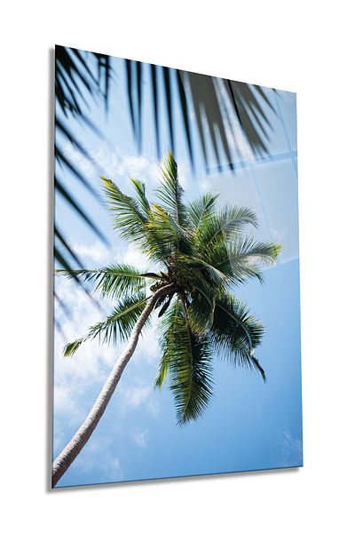Rosyvien Pictură verticală din sticlă Sky and Palm, decor de perete pentru casă și birou, cadou de lux, anti-zgârieturi