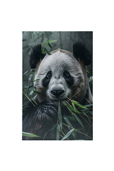 StoryGift Romania Tablou Canvas: Ursul Panda Batran Cu Blana Murdara De Noroi...