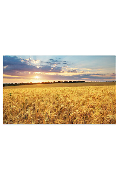 StoryGift Romania Tablou Canvas Camp De Grau La Apus, Fundal, Camp, Ferma, Ra...