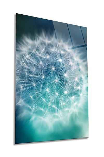 Rosyvien Pictură verticală din sticlă de păpădie turcoaz, decor de perete pentru casă și birou, cadou de lux, anti-zgârieturi