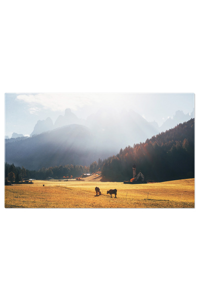 StoryGift Romania Tablou Canvas: Peisaj Rural Cu Vacute In Pasune - Vacute, Pasune, Peisaj, Natura
