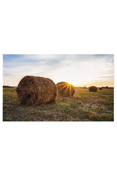 StoryGift Romania Tablou Canvas - Peisaj De Toamna: Camp Cu Baloturi, Cer Alb...