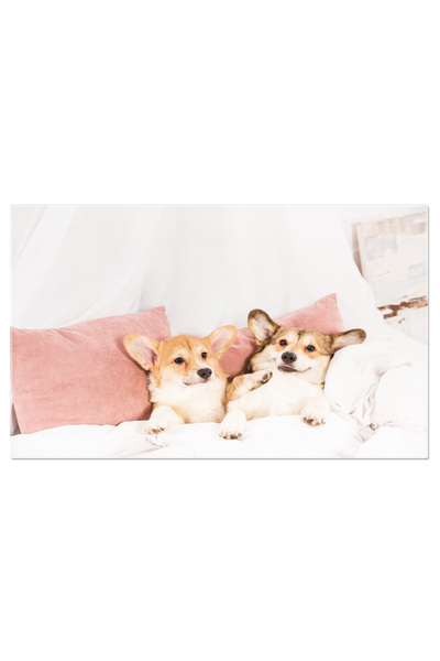 StoryGift Romania Tablou Canvas Corgi Welsh Amuzant Caini Stand In Pat La Cas...