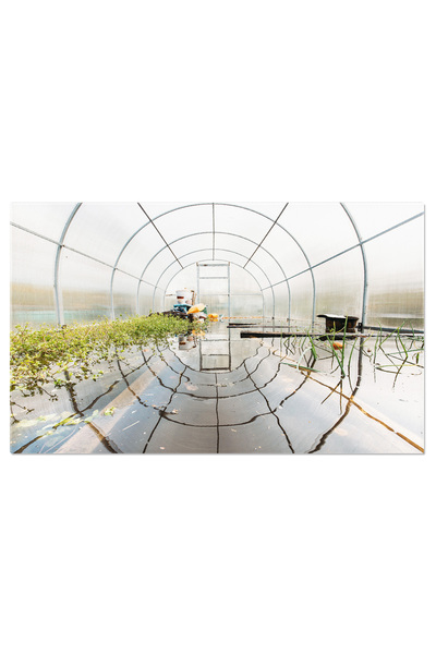 StoryGift Romania Tablou Canvas Gradini De Legume In Inundatii De Primavara, ...