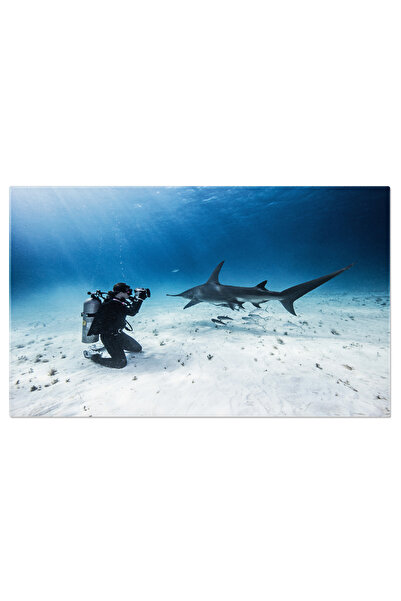 StoryGift Romania Tablou Canvas Vedere Subacvatica A Unei Scuba Divers Fotogr...