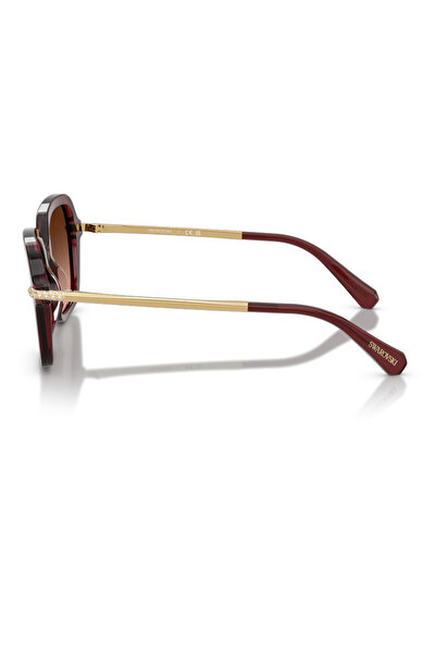 Swarovski Women's Sunglasses Swarovski SK6040 10735M 50, Plastic, Brown, 50 mm