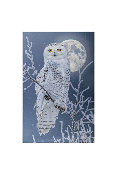 StoryGift Romania Tablou Canvas Bufnita Polara De Culoare Alba Cu Ochii Galbeni Care Sta Pe O Ramura De Copac Si