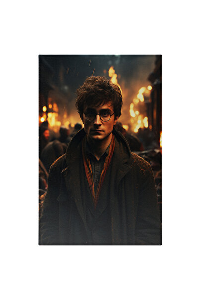 StoryGift Romania Tablou Canvas: Portretul Lui Harry Potter - Vrajitor Pictur...