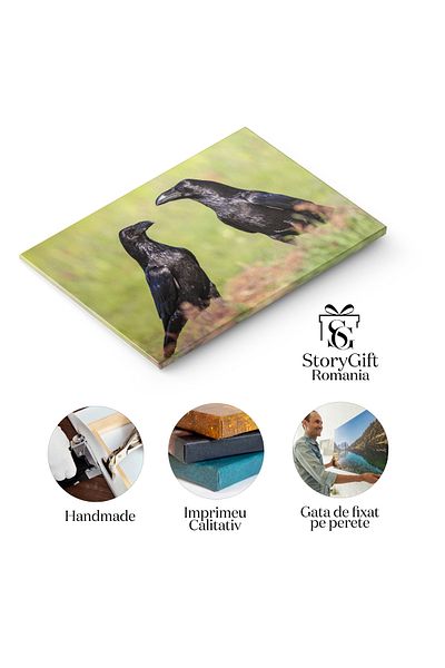 StoryGift Romania Tablou Canvas - Corbul European In Toata Splendoarea Sa - Pasarea Neagra