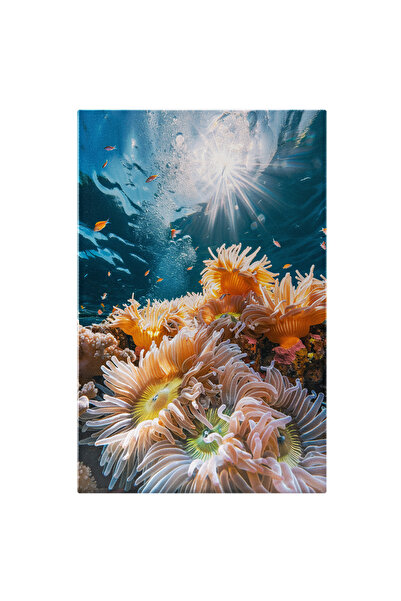 StoryGift Romania Tablou Canvas: Fotografia Acvatică A Viețuitoarelor Din Oce...