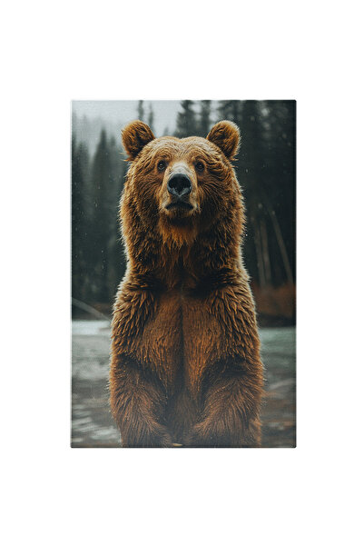 StoryGift Romania Tablou Canvas Ursul În Ploaie Sfârșit De Hibernare La Pescu...