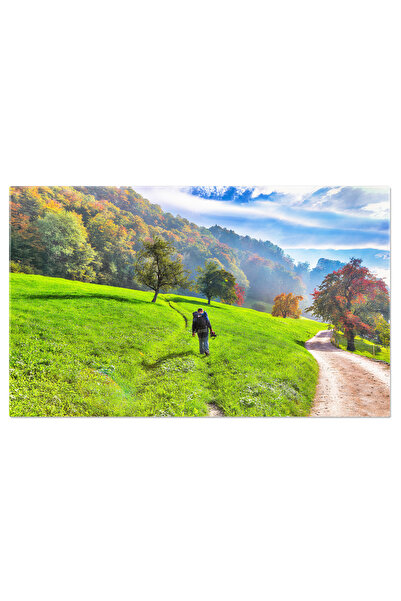 StoryGift Romania Tablou Canvas Suburbie In Toamna: Stansstad, Elvetia Swiss,...