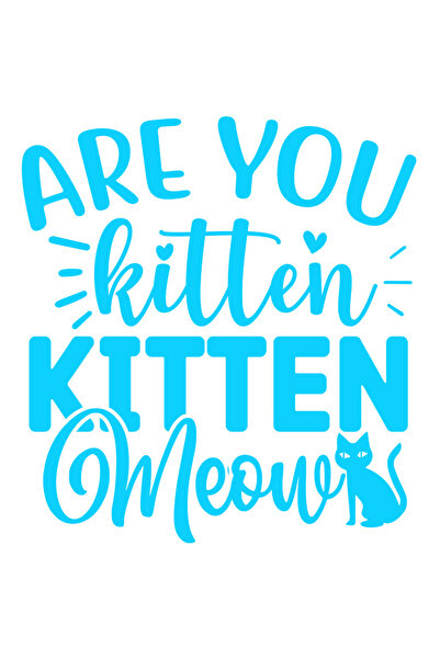 StoryGift Romania Sticker Eticheta 40CM Exterior pentru iubitorii de pisicute...