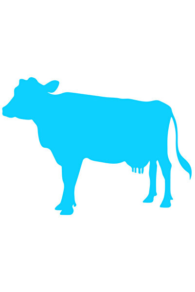 StoryGift Romania Sticker Autocolant 70CM Exterior cu o vacuta - animal domes...