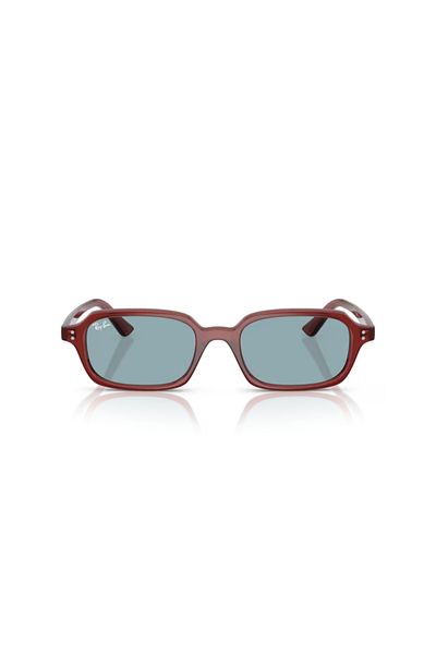 Ray-Ban 4455 680980 52 Sunglasses