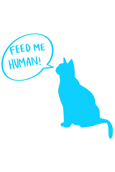 StoryGift Romania Sticker Adeziv 90CM Exterior cu o pisicuta care cere sa fie...