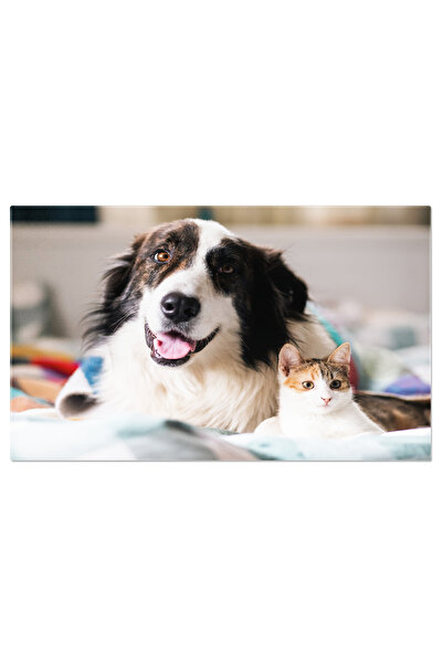 StoryGift Romania Tablou Canvas - Caine Si Pisica Imbratisandu-se: Momente De...
