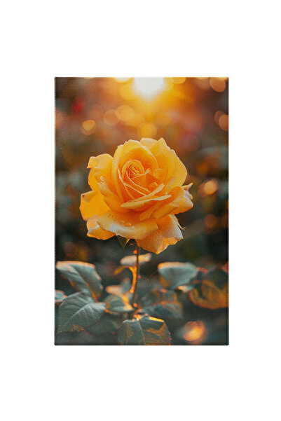 StoryGift Romania Tablou Canvas: Unicul Trandafir Din Gradina, Trandafirul Ga...