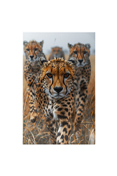 StoryGift Romania Tablou Canvas: Familie De Leoprazi Puiul Si Parintii Lui In...