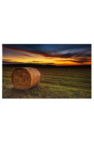 StoryGift Romania Tablou Canvas - Apus Peste Camp: Paleta De Culori Si Agricu...