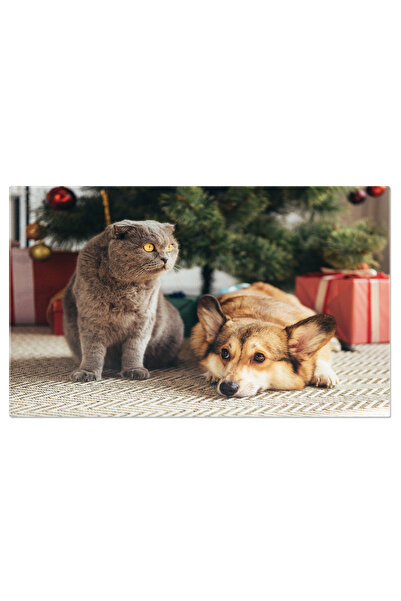 StoryGift Romania Tablou Canvas Scrapbooking Pe Fundal Roz, Papetarie, Hobby,...