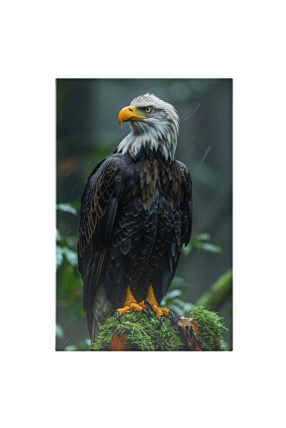 StoryGift Romania Tablou Canvas Înfruntarea Privirilor Vulturul Și Ploaia Udând Penele Pasăre Sălbatică În Libert