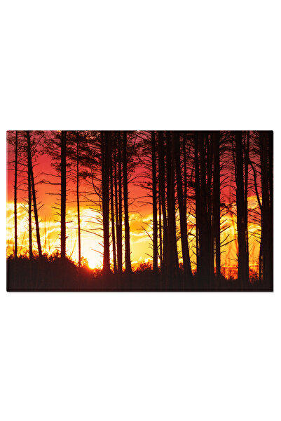 StoryGift Romania Tablou Canvas Fotografie Rasarit Si Apus In Padurea De Pini...