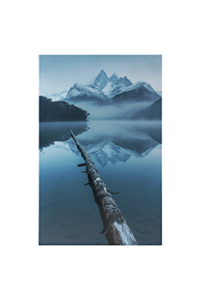 StoryGift Romania Tablou Canvas: Trunchi De Copac Subțire Căzut În Lac Și Vedere La Munți, Texturi Și Reflecții-