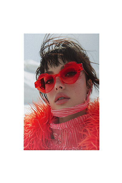 StoryGift Romania Tablou Canvas Între Zăpezile Munților Cu Stil Și Culoarre -...