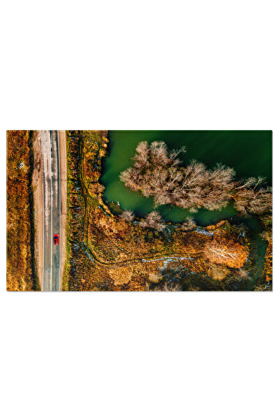 StoryGift Romania Tablou Canvas: Toamna Aeriana - Padure, Foliu Colorat, Peis...