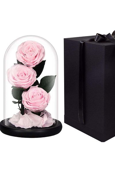 Generic Vitacelli Luxury Preserved Pink Roses in Glass Dome – Real Eternal Flowers with Gift Box